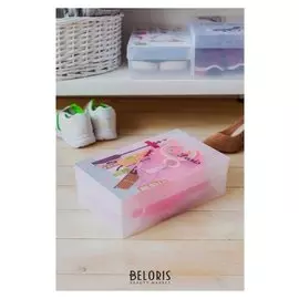 Короб для хранения с крышкой «Париж», 18,5×29,5×9,5 см, цвет прозрачный