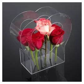 Коробка акриловая для цветов 21,5 х 8,5 х 22 см