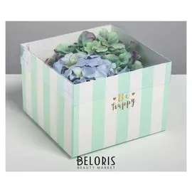 Коробка для цветов с Pvc-крышкой Be Happy 17 × 12 × 17 см