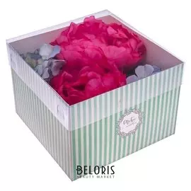 Коробка для цветов с Pvc-крышкой «Будь прекрасной!», 17 × 12 × 17 см