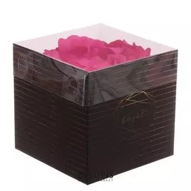 Коробка для цветов с PVC крышкой Shine Bright, 12 × 12 × 12 см