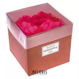 Коробка для цветов с Pvc-крышкой Wonderful Day, 12 × 12 × 12 см