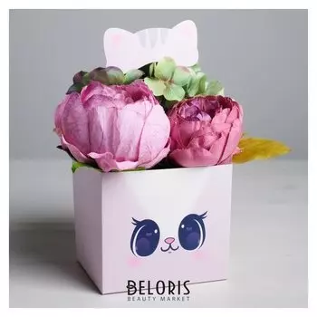 Коробка для цветов с топпером «Котик», 11 х 12 х 10 см