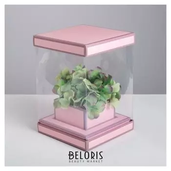 Коробка для цветов с вазой и PVC окнами складная «Вдохновение», 16 х 23 х 16 см