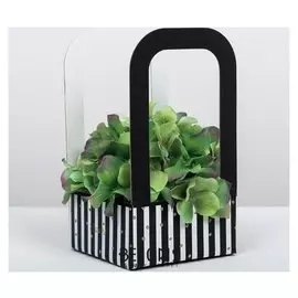 Коробка-переноска для цветов «Золотое сияние», 12 × 12 × 22 см