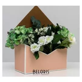 Коробка-письмо «Нежность», 25 × 33 × 10 см