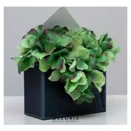 Коробка-письмо «Вдохновение прекрасным», 14 × 20 × 6,5 см