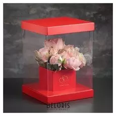 Коробка подарочная, 20 х 20 х 28 см