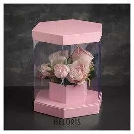 Коробка подарочная, 21 х 21 х 26 см