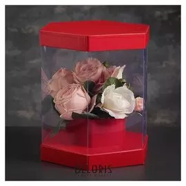 Коробка подарочная, 21 х 21 х 26 см