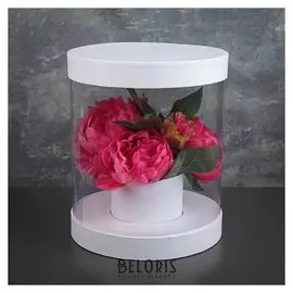 Коробка подарочная 22 х 22 х 26 см