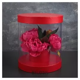 Коробка подарочная 22 х 22 х 26 см