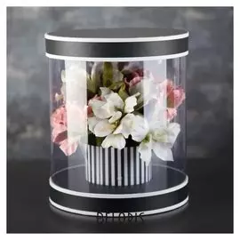 Коробка подарочная 22 х 22 х 26 см