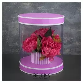 Коробка подарочная 22 х 22 х 26 см