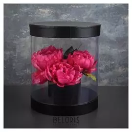 Коробка подарочная 22 х 22 х 26 см