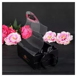 Коробка подарочная, 25 х 18 х 10,5 см