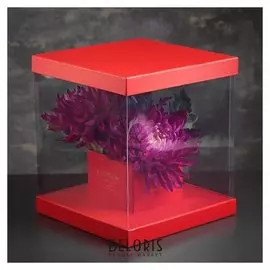 Коробка подарочная, 25 х 25 х 28 см