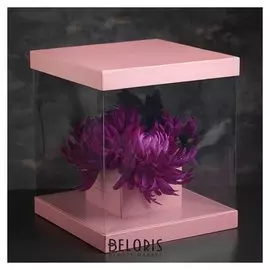 Коробка подарочная, 25 х 25 х 28 см