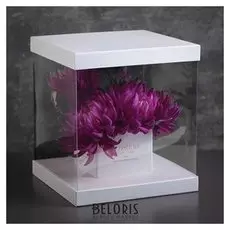 Коробка подарочная, 25 х 25 х 28 см