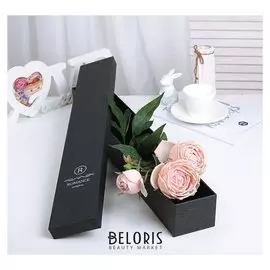 Коробка подарочная 60 х 9 х 7 см