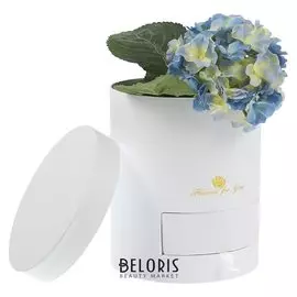 Коробка подарочная, белый, 11,5 х 11,5 х 24 см