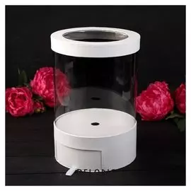 Коробка подарочная, белый, 20 х 20 х 32,5 см