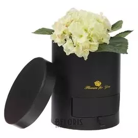 Коробка подарочная, чёрный, 11,5 х 11,5 х 24 см