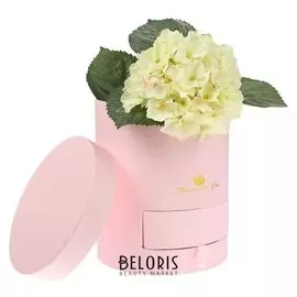 Коробка подарочная, розовый, 11,5 х 11,5 х 24 см