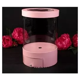 Коробка подарочная, розовый, 20 х 20 х 32,5 см