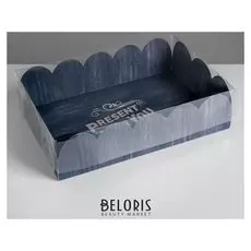 Коробка подарочная с Pvc-крышкой Present For You, 20 × 30 × 8 см