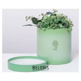 Коробка подарочная «Жемчуг», 20 × 20 см