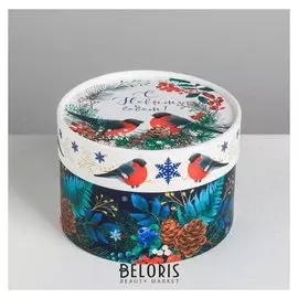 Коробка подарочная «Зима», 12 х 8 см