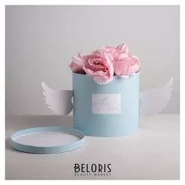 Коробка шляпная для цветов с доп. элементом «Крылья любви», 22 × 22 см