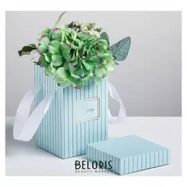 Коробка складная «Счастье», 17 × 25 см