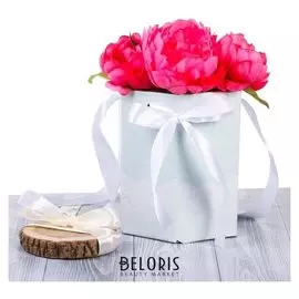 Коробка складная шестигранник «Мятное кружево», 17 × 14,8 × 19,5 см