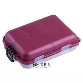 Коробочка сч-2 для мелочей, 10 отделений, размер 9,5 х 6 см