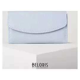 Кошелёк женский, 2 отдела на клапане, цвет голубой