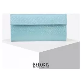 Кошелёк женский, 2 отдела на клапане, цвет голубой