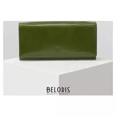 Кошелёк женский, 5 отделов на клапане, цвет зелёный