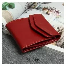 Кошелёк женский, отдел на клапане, цвет красный