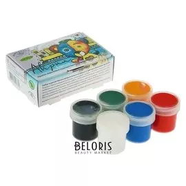 Краска акриловая, набор из 6 цветов по 20 мл, «Аква-колор», художественно-оформительская