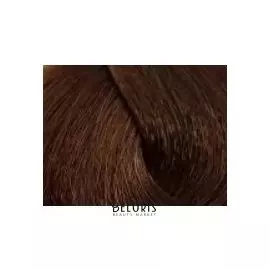 Безаммиачный краситель REVERSO HAIR COLOR