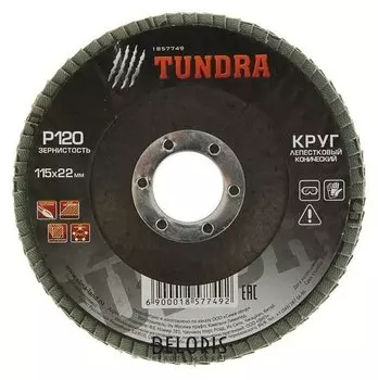 Круг лепестковый торцевой конический Tundra, 115 х 22 мм, р120