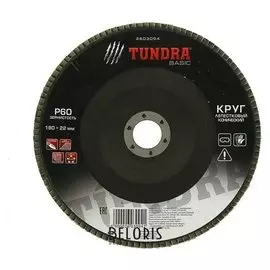 Круг лепестковый торцевой конический Tundra, 180 х 22 мм, Р60