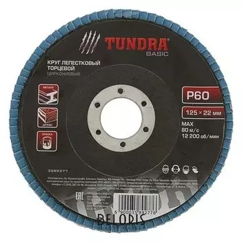 Круг лепестковый торцевой Tundra, циркониевый (По нержавеющей стали), 125 х 22 мм, Р60