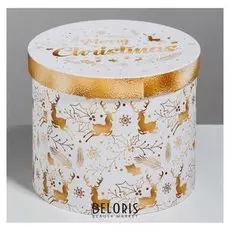 Круглая подарочная коробка Merry Christmas, 14 × 16 см