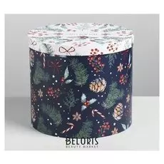 Круглая подарочная коробка «Волшебства», 19,5 × 22 см