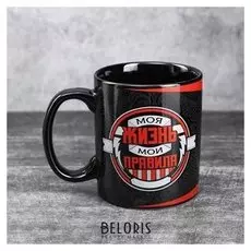 Кружка «Моя жизнь, мои правила», 300 мл