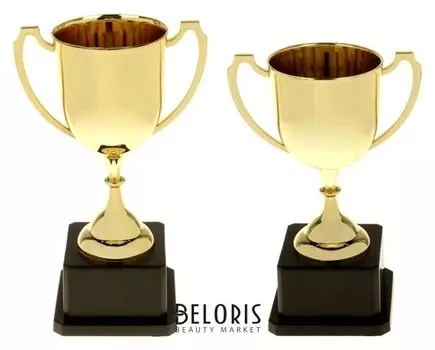 Кубок спортивный 013в