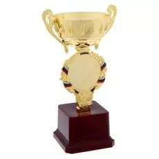 Кубок спортивный 050